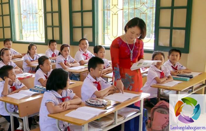 Khối D gồm những ngành nào