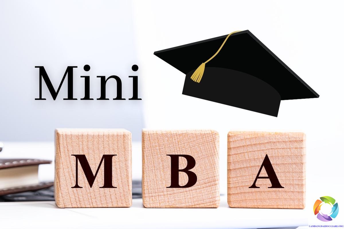 Mini MBA