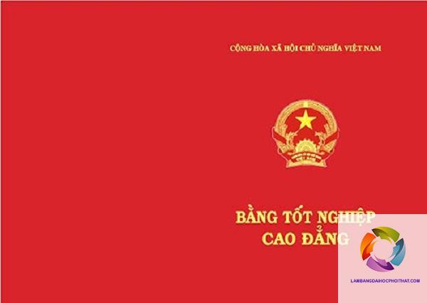 bằng cao đẳng có được đi du học không - Hình 2