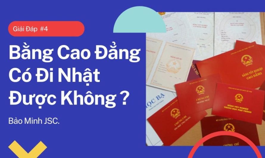 Bằng cao đẳng điều dưỡng có đi Nhật được không? Hướng dẫn chi tiết từ A-Z