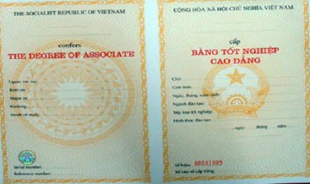 bằng cao đẳng du lịch làm hàng không được không
