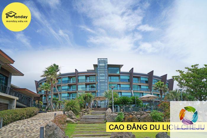 bằng cao đẳng du lịch làm resort được không - Hình 3