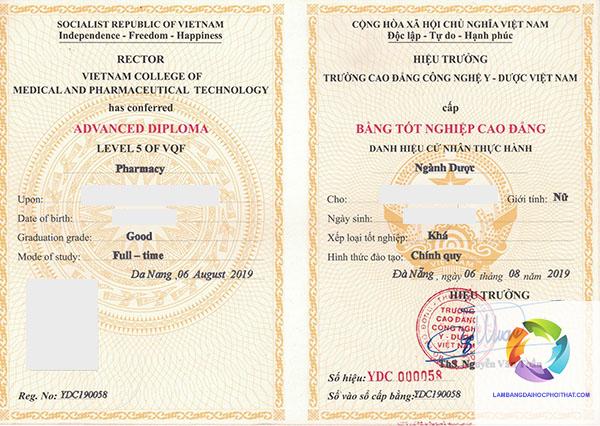 bằng cao đẳng dược có liên thông đại học được không - Hình 2