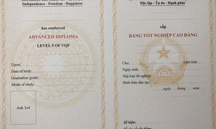 bằng cao đẳng dược học mấy năm