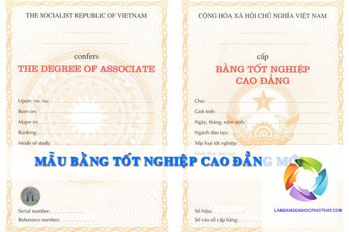 bằng cao đẳng dược học mấy năm - Hình 5