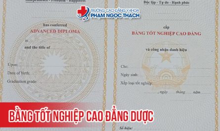 bằng cao đẳng dược làm bệnh viện được không