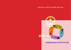 bằng cao đẳng dược ra làm gì - Hình 3