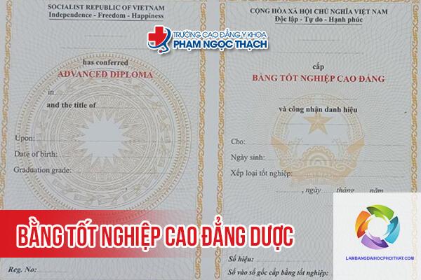 bằng cao đẳng dược ra làm gì