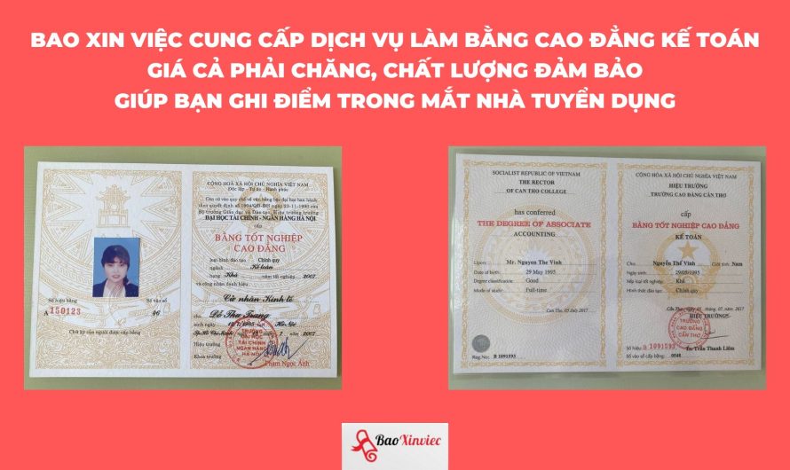 Bằng cao đẳng kế toán: Tấm vé vững chắc cho sự nghiệp tài chính ngay sau tốt nghiệp