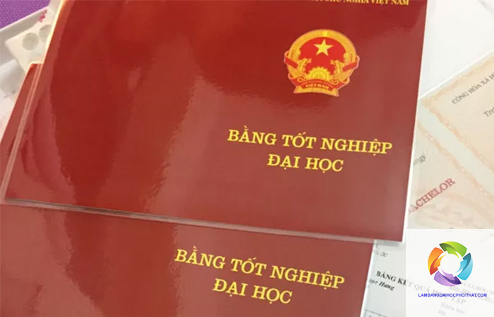 bằng cao đẳng khác gì đại học - Hình 4