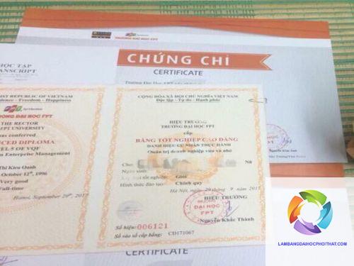 bằng cao đẳng kinh doanh quốc tế - Hình 3