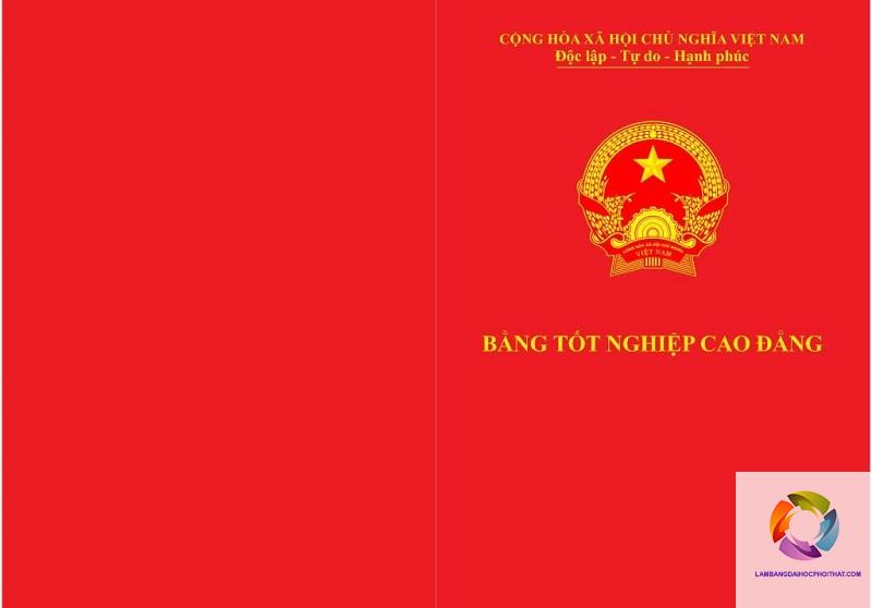 bằng cao đẳng logistics là gì - Hình 4