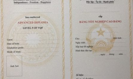 bằng cao đẳng luật