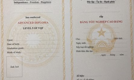 bằng cao đẳng luật làm hành chính nhân sự được không