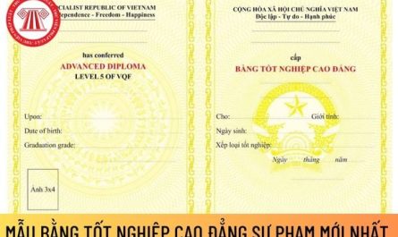 bằng cao đẳng luật làm pháp chế được không
