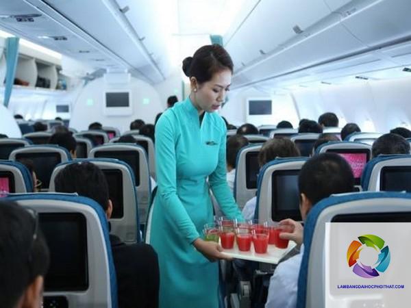 bằng cao đẳng ngôn ngữ anh làm tiếp viên hàng không được không - Hình 4