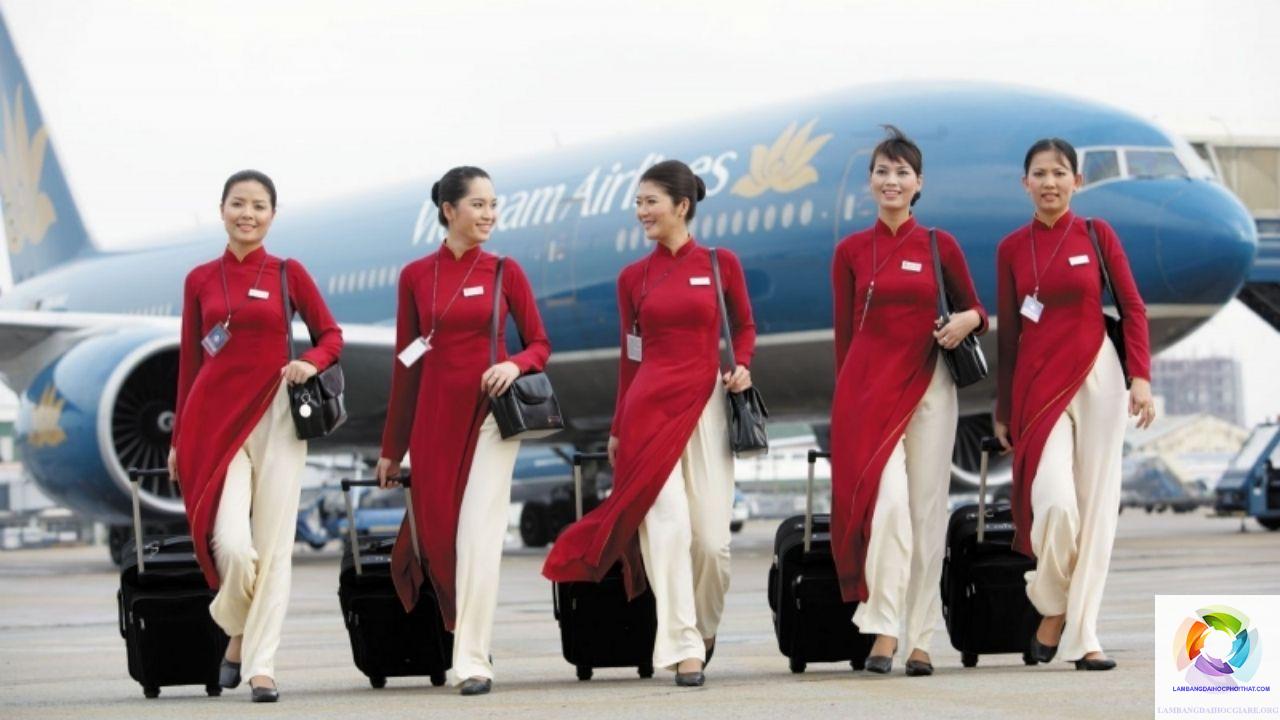 bằng cao đẳng ngôn ngữ anh làm tiếp viên hàng không được không - Hình 5
