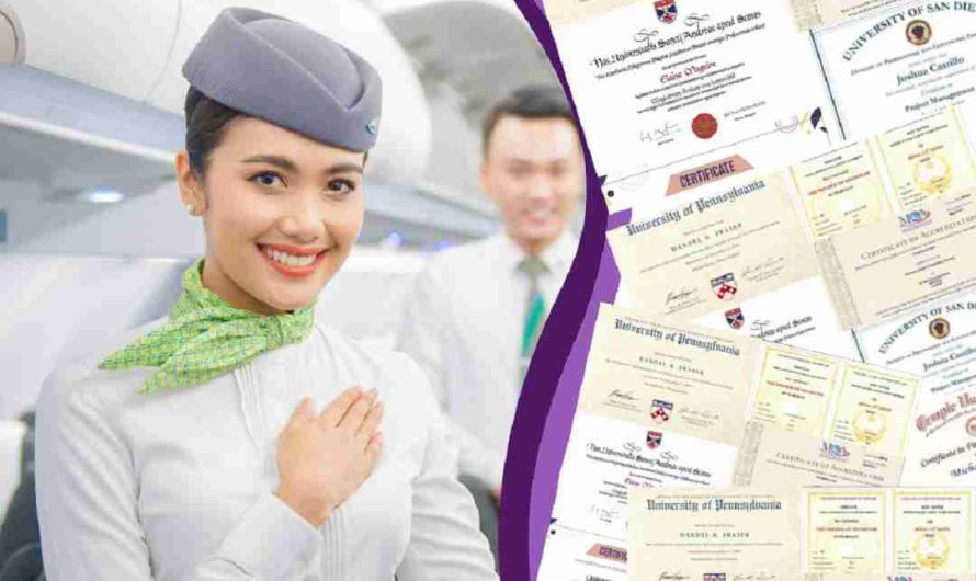 Bằng cao đẳng ngôn ngữ Anh làm tiếp viên hàng không được không? Giải đáp chi tiết từ A-Z