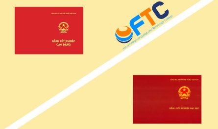 bằng cao đẳng ngôn ngữ anh làm trợ lý giám đốc được không