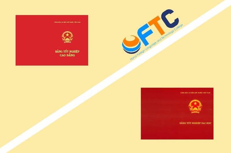 Bằng Cao Đẳng Ngôn Ngữ Anh Làm Trợ Lý Giám Đốc Được Không? Cơ Hội Và Lộ Trình Thực Tế