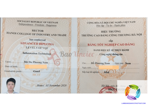 bằng cao đẳng thương mại điện tử ra làm gì - Hình 5