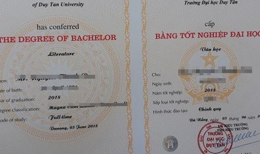 Bằng đại học báo chí ra làm gì? Lộ trình nghề nghiệp chi tiết cho tân cử nhân