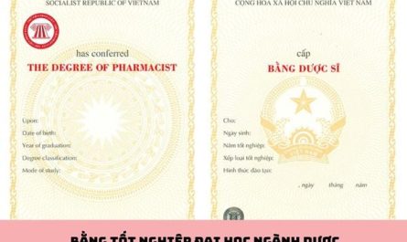 bằng đại học công nghệ sinh học làm dược được không