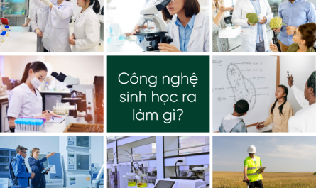 bằng đại học công nghệ sinh học ra làm gì