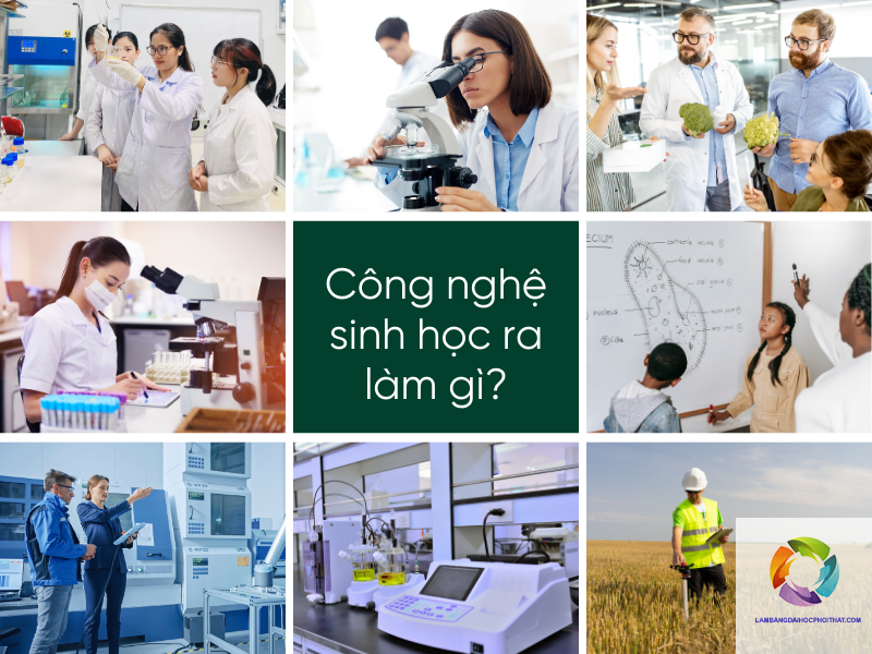 bằng đại học công nghệ sinh học ra làm gì