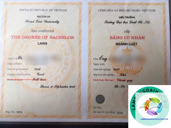 Bằng đại học công tác xã hội có giá trị gì? Lợi ích thực tế và cơ hội nghề nghiệp