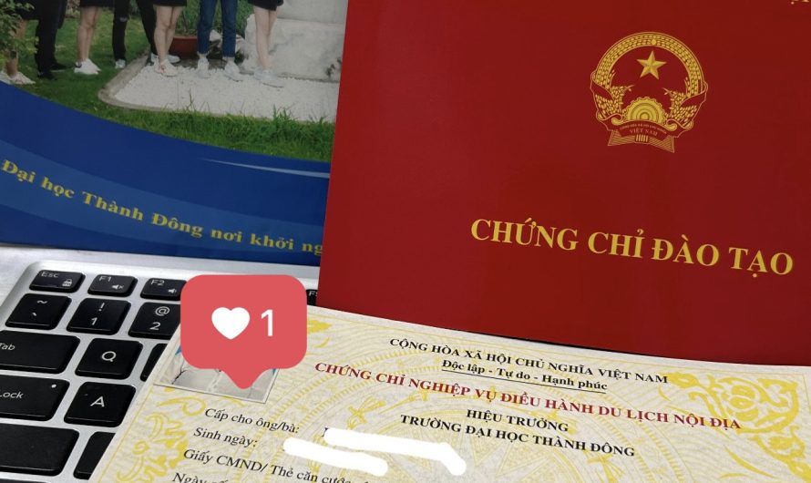 Bằng đại học du lịch lữ hành làm điều hành tour được không? Giải đáp chi tiết từ A-Z