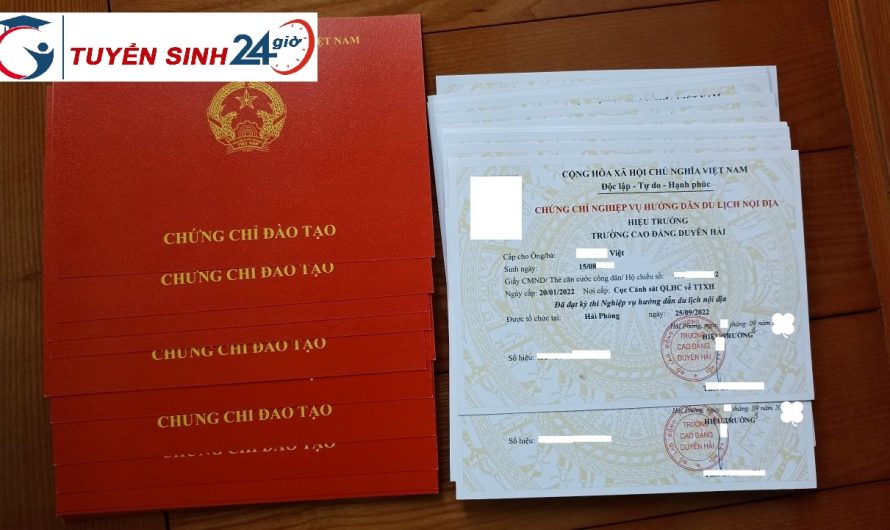Bằng đại học du lịch lữ hành làm hướng dẫn viên được không? Giải đáp chi tiết từ A-Z