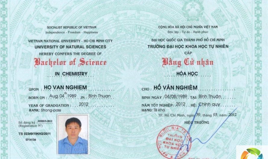 Bằng đại học khoa học máy tính làm nghiên cứu được không? Giải đáp chi tiết từ A-Z