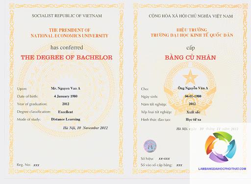 Bằng đại học kinh doanh quốc tế là gì? Giải mã tấm vé vàng cho sự nghiệp toàn cầu