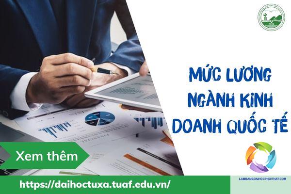Bằng đại học kinh doanh quốc tế lương bao nhiêu? Bảng lương chi tiết theo vị trí và kinh nghiệm