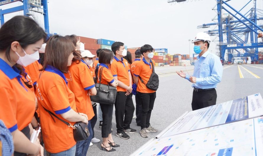 Bằng đại học kinh doanh quốc tế ra làm gì? Cơ hội việc làm và lộ trình sự nghiệp chi tiết