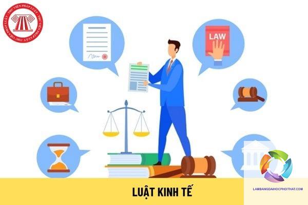 bằng đại học luật kinh tế làm tòa án được không