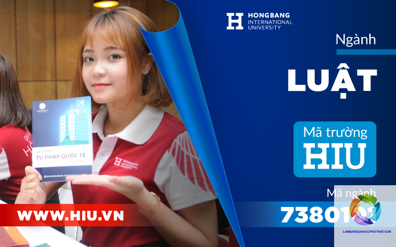 bằng đại học luật quốc tế có dễ xin việc không