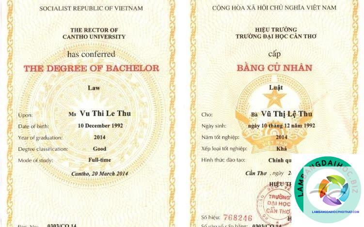 bằng đại học luật quốc tế là gì - Hình 3
