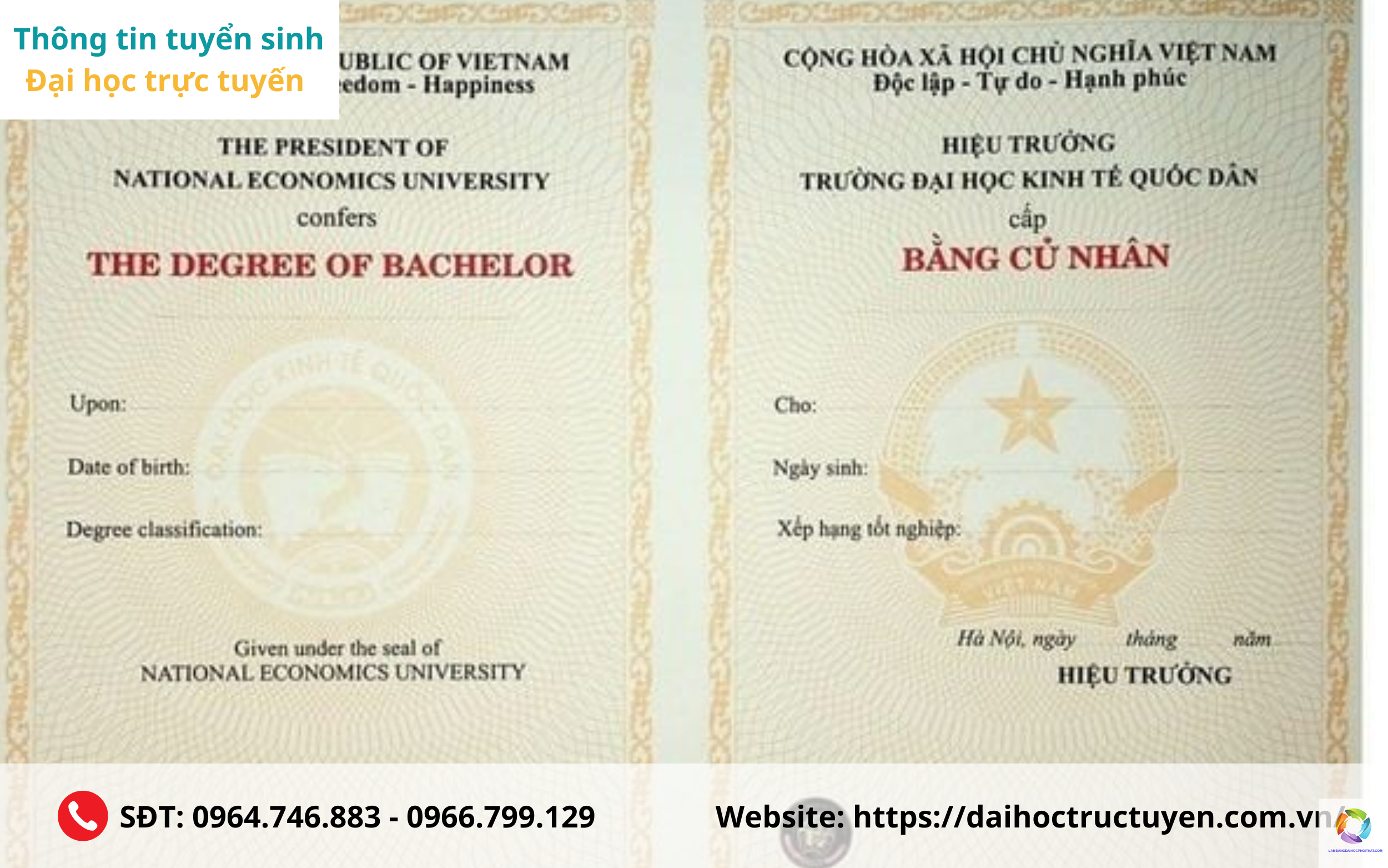 bằng đại học luật quốc tế là gì - Hình 1