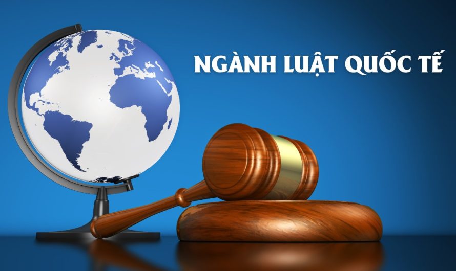 Bằng đại học luật quốc tế lương bao nhiêu? Mức thu nhập thực tế và cơ hội nghề nghiệp