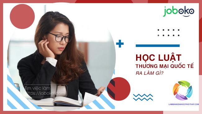 bằng đại học luật quốc tế ra làm gì