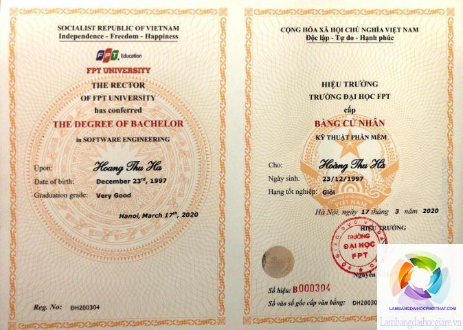 Bằng đại học ngành công nghệ thông tin học lên được gì? Lộ trình phát triển toàn diện cho sinh viên IT