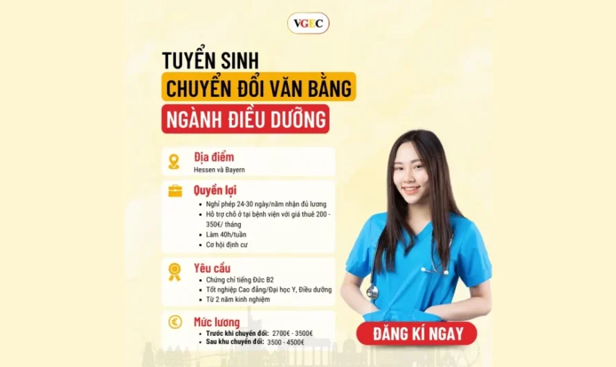 Bằng đại học ngành điều dưỡng có đi Đức được không? Cẩm nang toàn diện từ A-Z