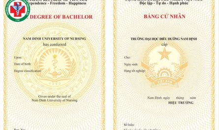 bằng đại học ngành điều dưỡng ra làm gì
