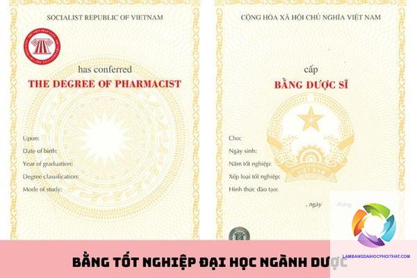 Bằng đại học ngành dược có giá trị gì? Lợi thế cạnh tranh và cơ hội nghề nghiệp thực tế