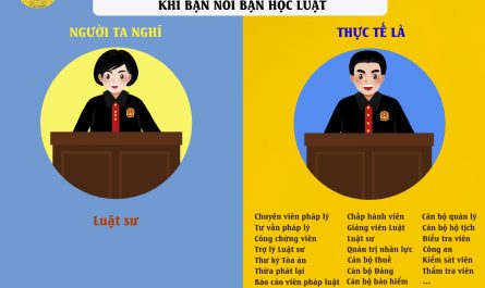 bằng đại học ngành luật ra làm gì