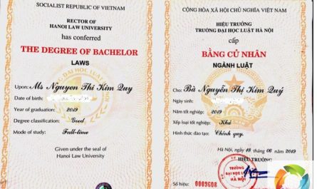 bằng đại học ngành luật xin việc ở đâu