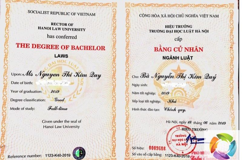 Bằng đại học ngành luật xin việc ở đâu? Cơ hội việc làm và lộ trình nghề nghiệp chi tiết