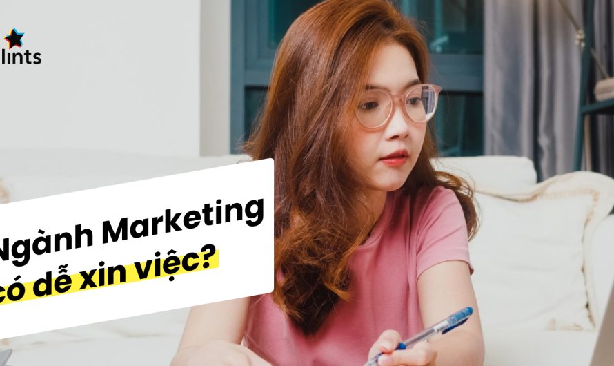 Bằng đại học ngành marketing có dễ xin việc không? Phân tích thực tế từ thị trường lao động 2025